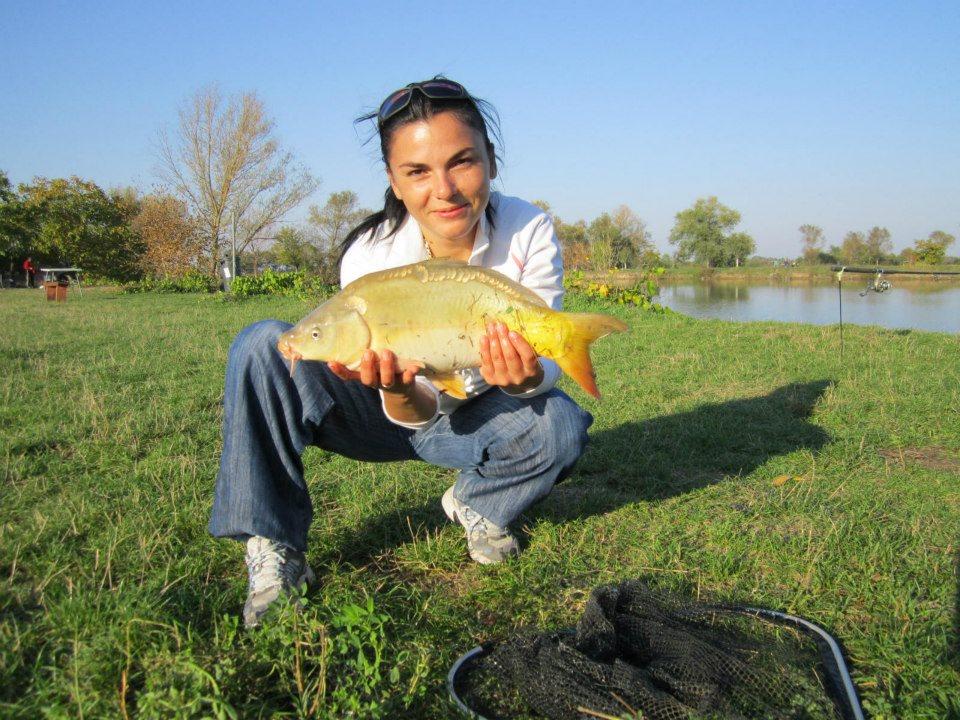 2012-2013 - 1890624424398400806261277120n1.jpg